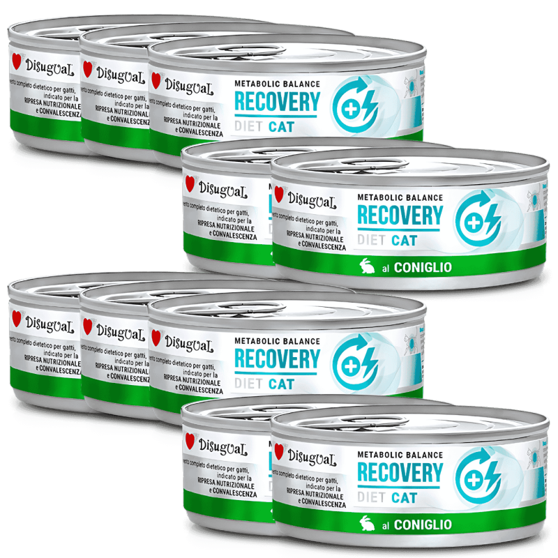 Comida Húmeda Gato Recuperación Disugual Diet Conejo 85 g | Supienso