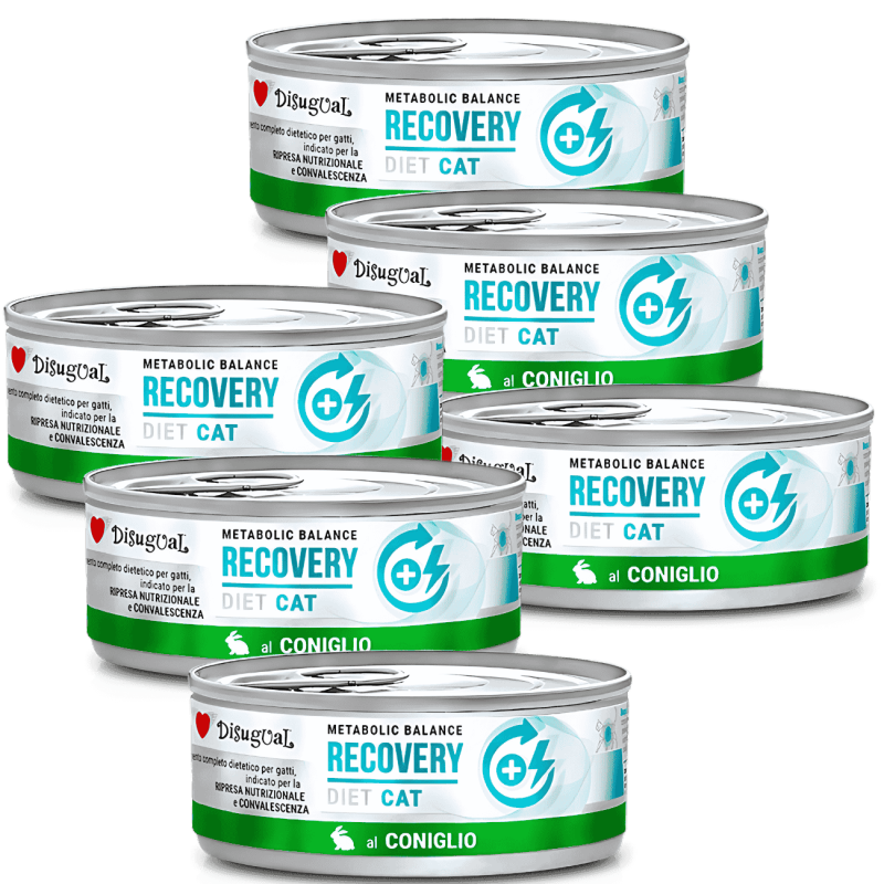 Comida Húmeda Gato Recuperación Disugual Diet Conejo 85 g | Supienso