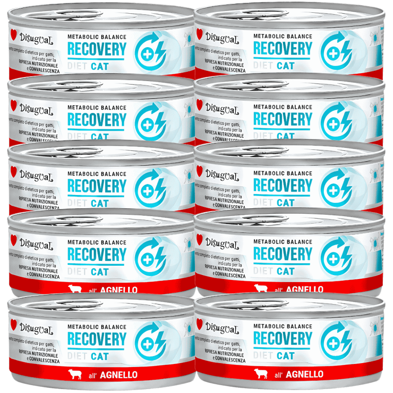 Comida Húmeda Gato Recuperación Disugual Diet Cordero 85 g | Supienso