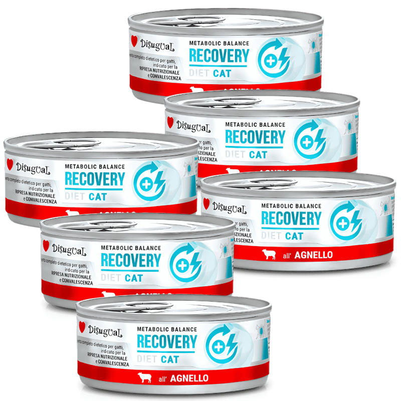 Comida Húmeda Gato Recuperación Disugual Diet Cordero 85 g | Supienso