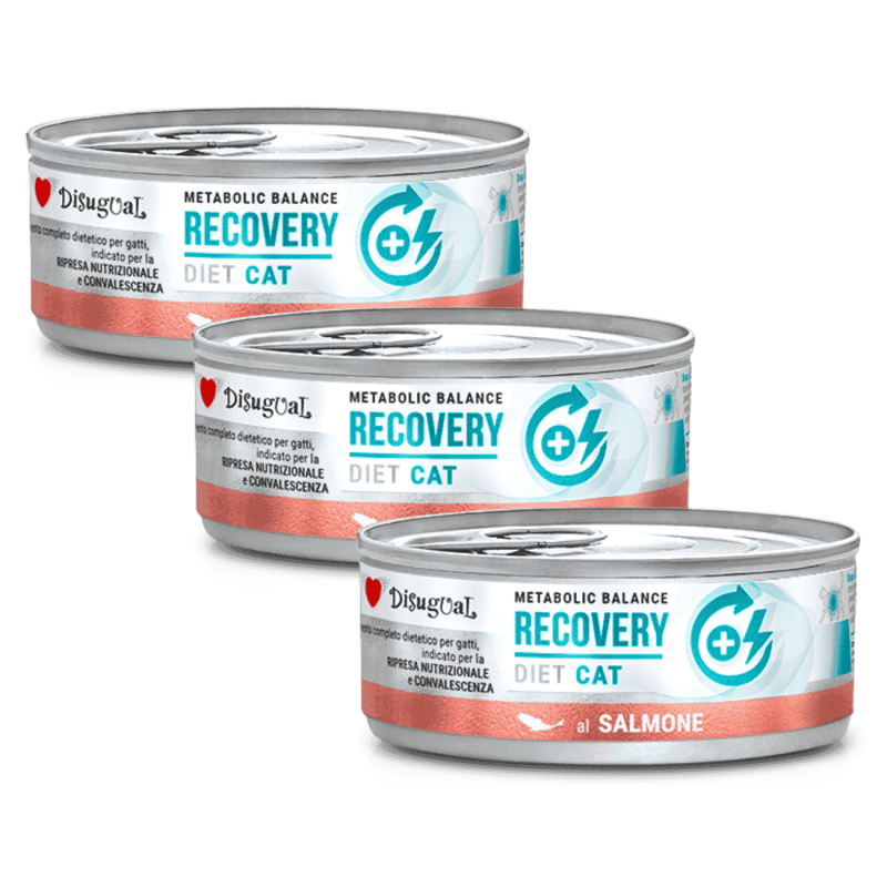 Disugual Diet Cat Húmedo Salmón Diabetic 85gr – Comida Especial para Gatos con Diabetes