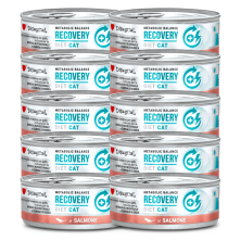 Disugual Diet Cat Húmedo Salmón Diabetic 85gr – Comida Especial para Gatos con Diabetes