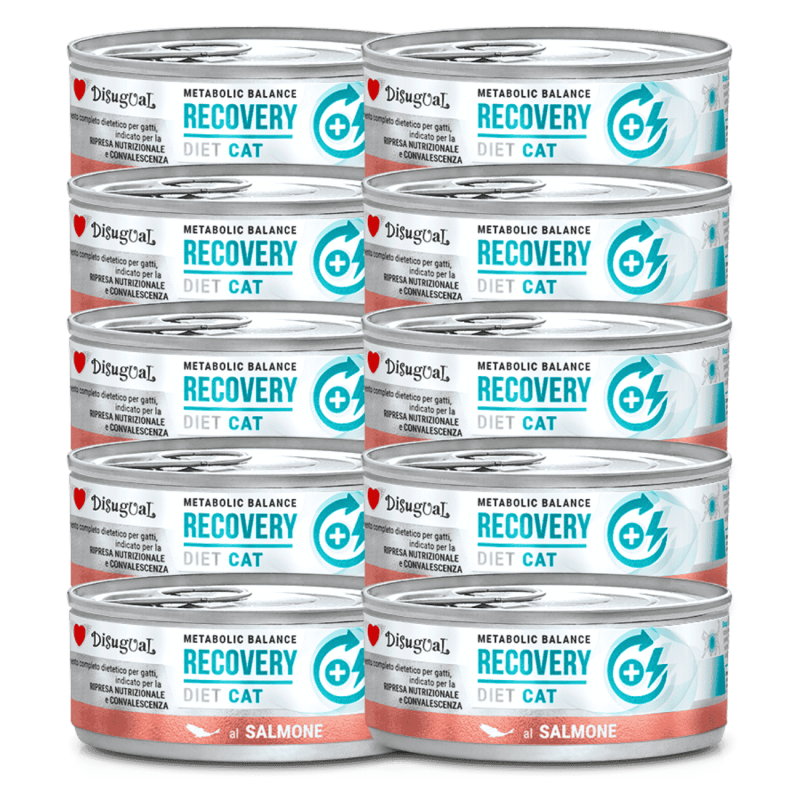 Disugual Diet Cat Húmedo Salmón Diabetic 85gr – Comida Especial para Gatos con Diabetes