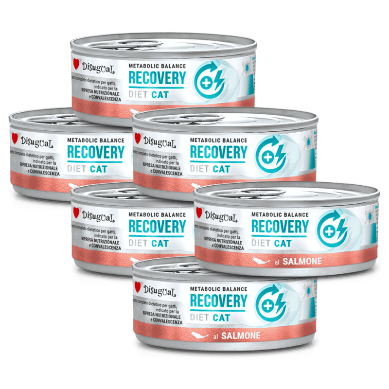 Disugual Diet Cat Húmedo Salmón Diabetic 85gr – Comida Especial para Gatos con Diabetes
