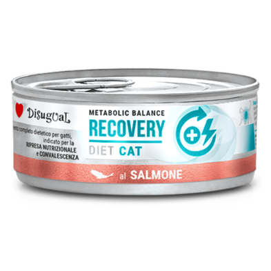 Disugual Diet Cat Húmedo Salmón Diabetic 85gr – Comida Especial para Gatos con Diabetes