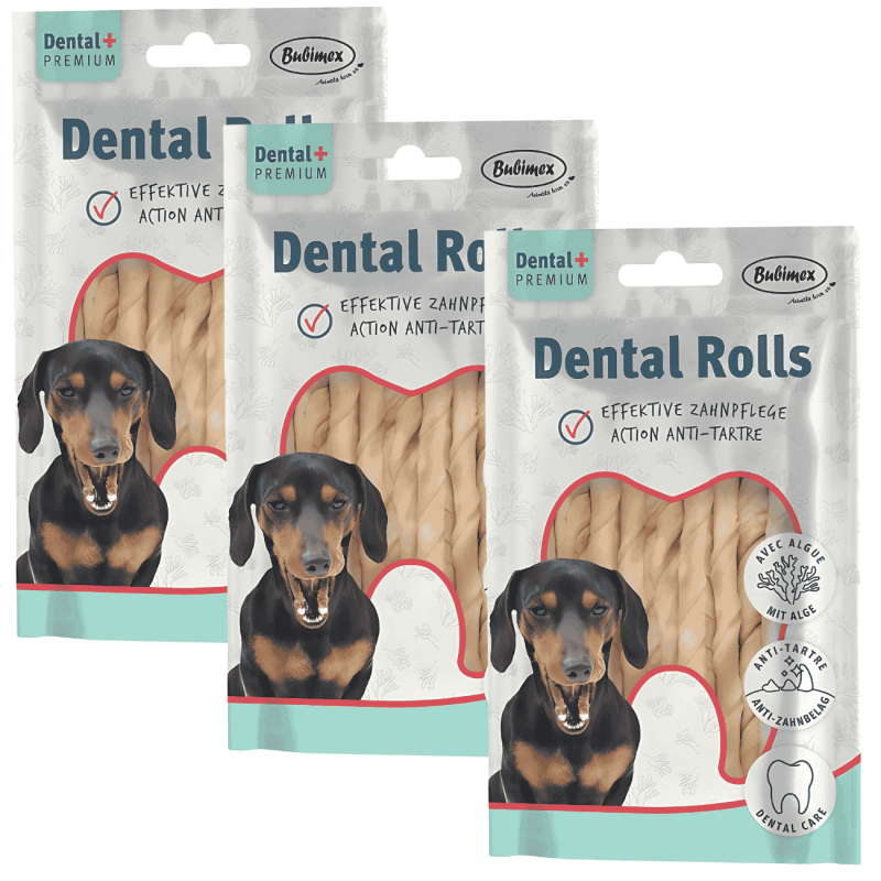 Sticks Dentales con Algas Bubimex x10 – Limpieza Natural