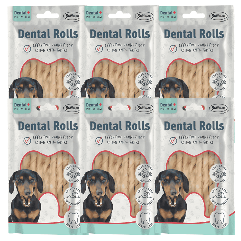 Sticks Dentales con Algas Bubimex x10 – Limpieza Natural