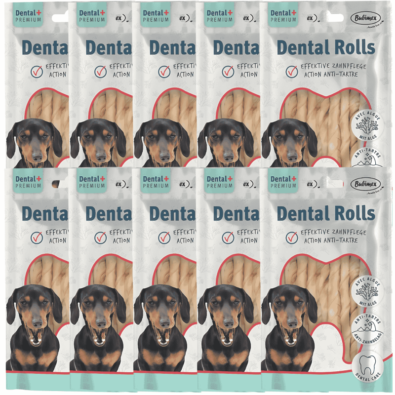 Sticks Dentales con Algas Bubimex x10 – Limpieza Natural
