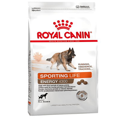 Royal Canin Energy 4300 – Alta Energía para Perros Activos