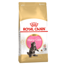 Royal Canin Kitten Maine Coon – Pienso Especial para Gatitos Maine Coon de 4 a 12 Meses