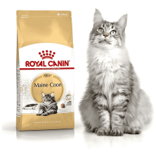 Royal Canin Maine Coon – Pienso Especial para Gatos Adultos Maine Coon
