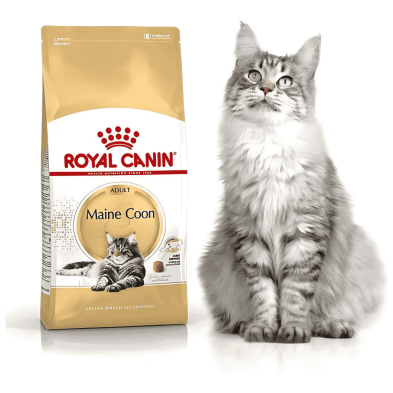 Royal Canin Maine Coon – Pienso Especial para Gatos Adultos Maine Coon
