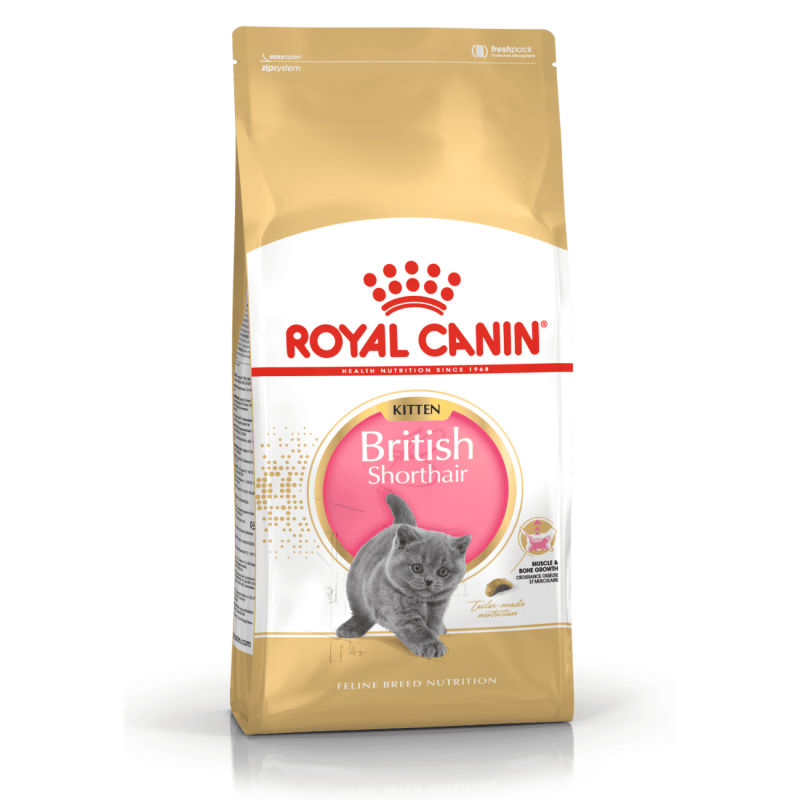 Royal Canin Kitten British Shorthair – Pienso para Gatitos de Raza British Shorthair