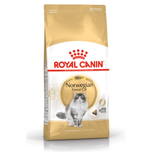 Royal Canin Norwegian Forest Cat – Pienso para Gatos Bosque de Noruega Adultos