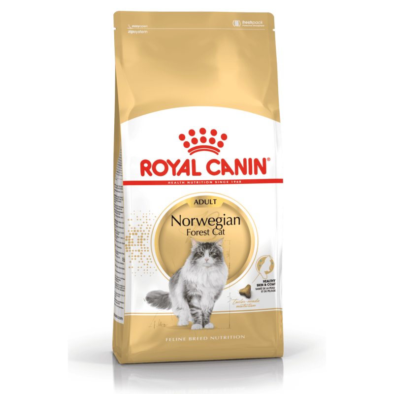 Royal Canin Norwegian Forest Cat – Pienso para Gatos Bosque de Noruega Adultos