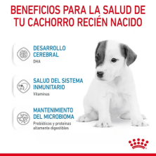 Royal Canin Babydog Milk – Sustituto de leche materna para cachorros