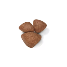 Royal Canin Mini Starter – Alimento para perras lactantes y cachorros mini