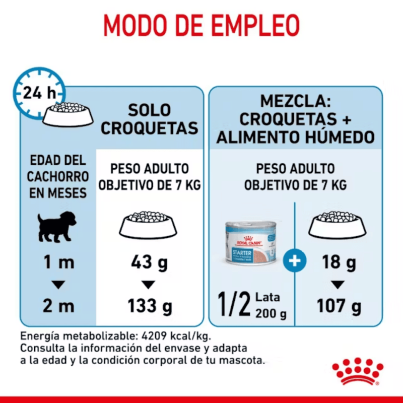 Royal Canin Mini Starter – Alimento para perras lactantes y cachorros mini