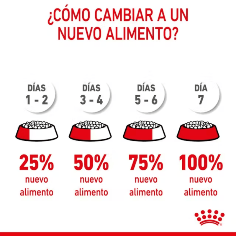 Royal Canin Mini Starter – Alimento para perras lactantes y cachorros mini