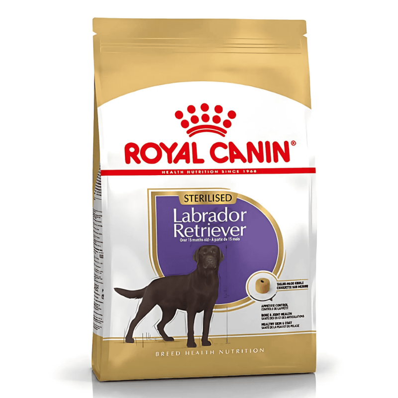 Royal Canin Labrador Retriever Sterilised Adult | Pienso Especial para Labradores Esterilizados