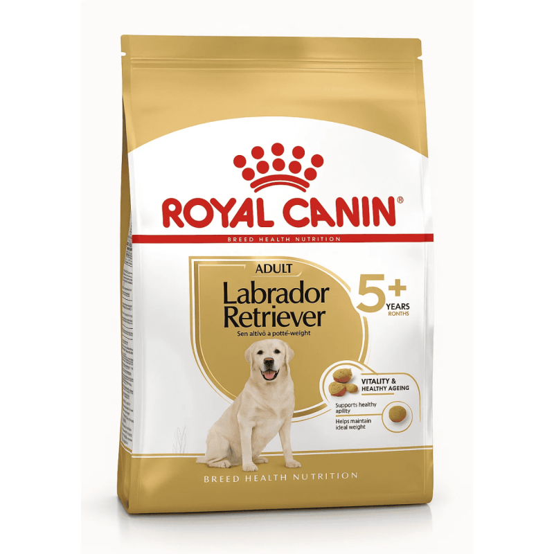 Royal Canin Labrador Retriever Adult 5+ | Pienso para Labradores Senior