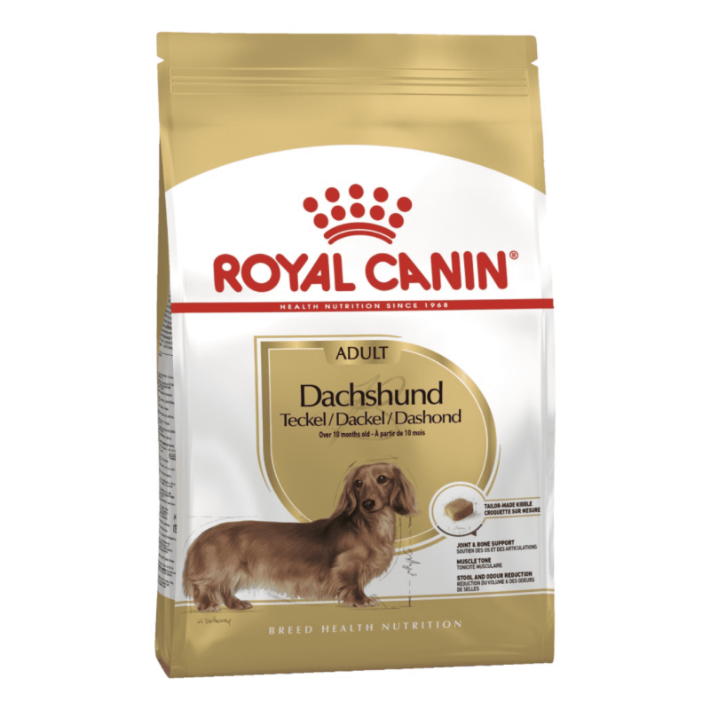 Royal Canin Dachshund Adult | Pienso para Perros Teckel Adultos
