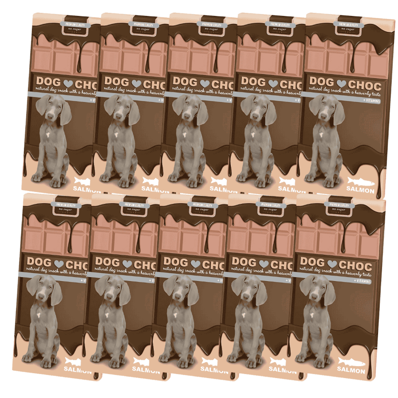 Duvo DogChoc Salmón 100 g – Chocolate Seguro para Perros con Sabor a Salmón