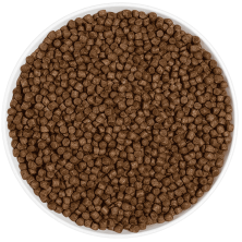 ERA Grain Free Kitten Pollo y Pavo 1.25 kg 🐱🍗🦃 | Pienso Premium Sin Cereales para Gatitos