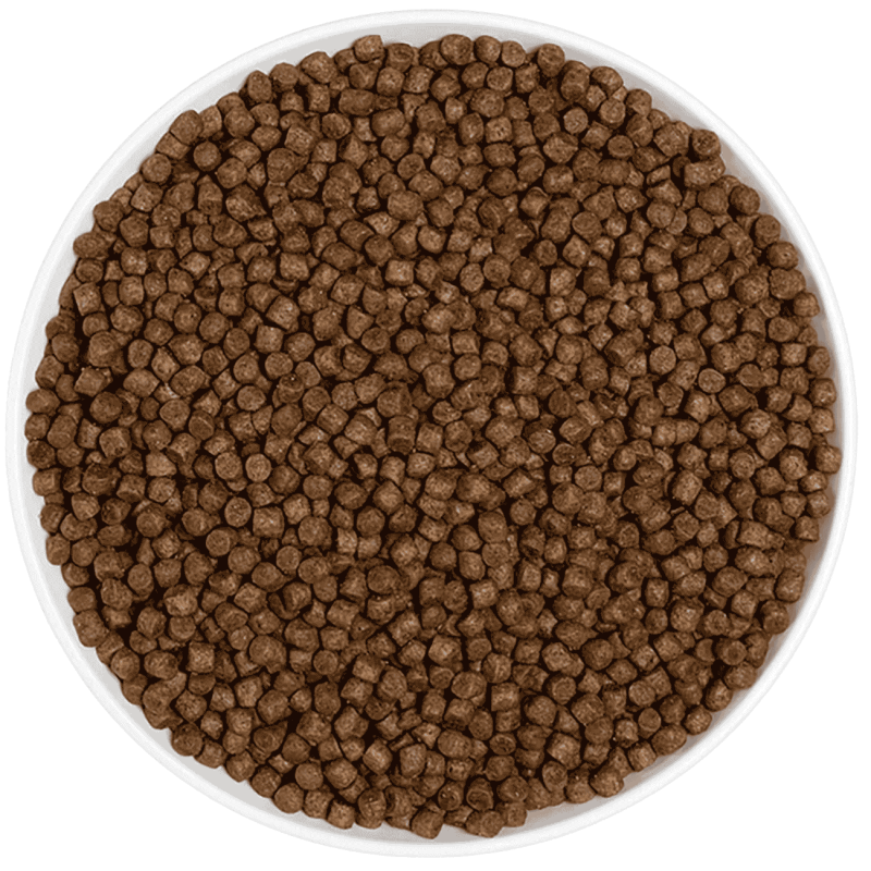 ERA Grain Free Kitten Pollo y Pavo 1.25 kg 🐱🍗🦃 | Pienso Premium Sin Cereales para Gatitos