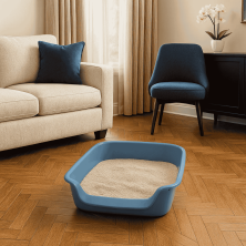 Bandeja Sanitaria Junior para Gatos - Abierta y Espaciosa | Ideal para Gatitos y Gatos Pequeños | 39x56x13 cm