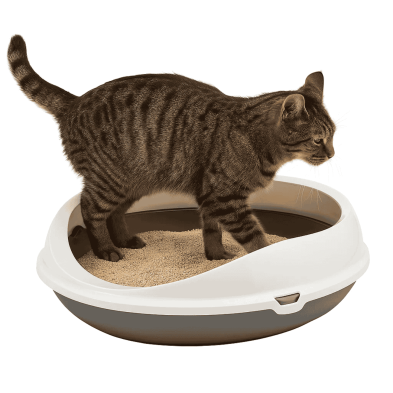 Bandeja Arenero Figaro con Marco - Ovalada, Anti-Salpicaduras | Gatos Medianos/Grandes | 48.5x55x15.5 cm