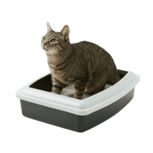 Bandeja Arenero Oval JUMBO con Marco - Amplia, Anti-Salpicaduras | Gatos Grandes | 43.5x56x14.5 cm