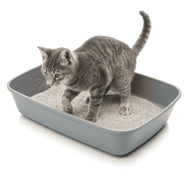 Bandeja Sanitaria Iriz para Gatos - Abierta y Compacta | Ideal para Gatitos y Espacios Pequeños | 30.5x42x10 cm