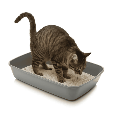 Bandeja Sanitaria Iriz JUMBO para Gatos - Abierta y Espaciosa | Gatos Medianos/Grandes | 36.5x50x11.5 cm