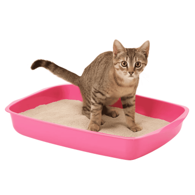 Bandeja Sanitaria Básica - Ultra Compacta | Ideal para Gatitos y Espacios Muy Pequeños | 25.5x37x6.5 cm