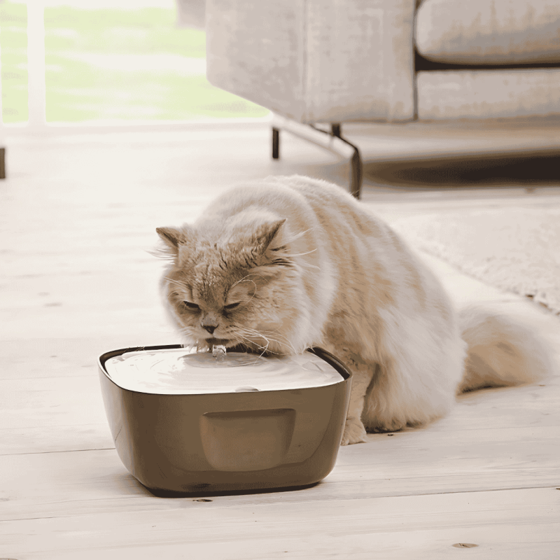 Fuente de Agua para Gatos Savic VOLCANO 2.5L - Hidratación Óptima y Diseño Innovador | 25x25x11 cm