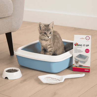 Kit Inicio Iriz para Gatitos y Gatos Pequeños - Arenero, Bolsas, Pala y Comedero | 31x42x12.5 cm