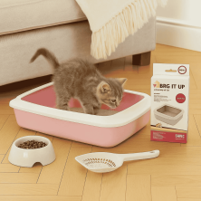 Kit Inicio Iriz para Gatitos y Gatos Pequeños - Arenero, Bolsas, Pala y Comedero | 31x42x12.5 cm