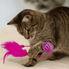 Pelota para Gato con Pluma Rosa - Juguete Interactivo y Estimulante | Instinto de Caza y Diversión