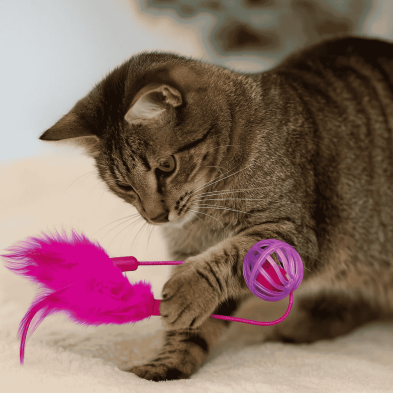 Pelota para Gato con Pluma Rosa - Juguete Interactivo y Estimulante | Instinto de Caza y Diversión