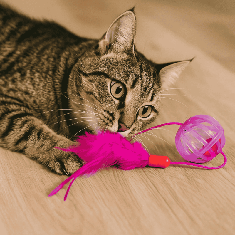 Pelota para Gato con Pluma Rosa - Juguete Interactivo y Estimulante | Instinto de Caza y Diversión
