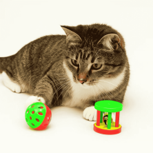 Pelota y Rodillo con Campana para Gato - Doble Diversión Interactiva | Estimula el Juego y la Caza