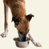 Pienso Sin Cereales para Perros