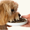 Comida Húmeda para Perros