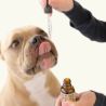 Complementos Alimenticios para Perros