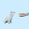Snacks Naturales para Perros