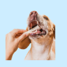 Snacks Dentales para Perros