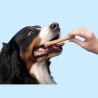 Huesos para Perros