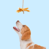 Rollitos para Perros