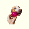 Pelotas para Perros